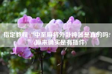 指定教程“中至麻将外卦神器是真的吗?”(原来确实是有插件)