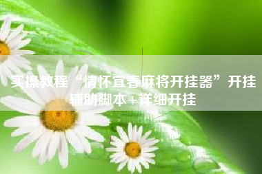 实操教程“情怀宜春麻将开挂器”开挂辅助脚本+详细开挂