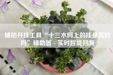 辅助开挂工具“十三水网上的挂是真的吗”辅助器 - 实时智能回复 辅助开挂工具“十三水网上的挂是真的吗”辅助器 - 实时智能回复