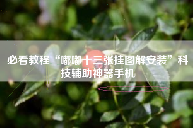 必看教程“嘟嘟十三张挂图解安装	”科技辅助神器手机