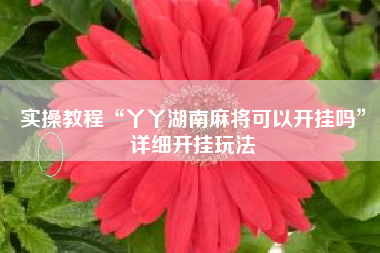 实操教程“丫丫湖南麻将可以开挂吗	”详细开挂玩法