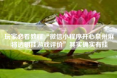 玩家必看教程“微信小程序开心泉州麻将透明挂游戏评价”其实确实有挂