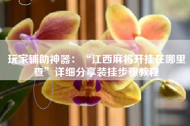 玩家辅助神器：“江西麻将开挂在哪里查”详细分享装挂步骤教程