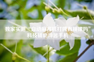 独家实测“自动麻将机打牌有规律吗	”科技辅助神器手机