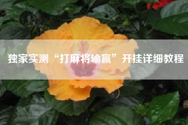 独家实测“打麻将输赢	”开挂详细教程