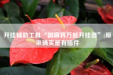 开挂辅助工具“微麻将万能开挂器	”(原来确实是有插件