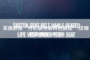 实操教程“开心泉州麻将包赢挂”(详细透视教程)-知乎