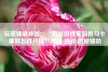 玩家辅助神器：“四川游戏家园断勾卡麻将怎样开挂”作弊(透视)透视辅助