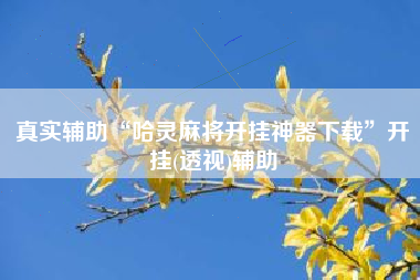真实辅助“哈灵麻将开挂神器下载	”开挂(透视)辅助
