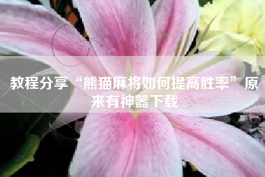 教程分享“熊猫麻将如何提高胜率	”原来有神器下载