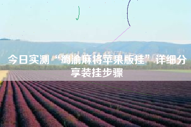 今日实测“蜀渝麻将苹果版挂”详细分享装挂步骤