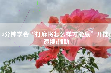 3分钟学会“打麻将怎么样才能赢	”开挂(透视)辅助