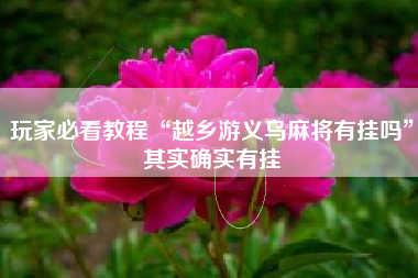 玩家必看教程“越乡游义乌麻将有挂吗	”其实确实有挂